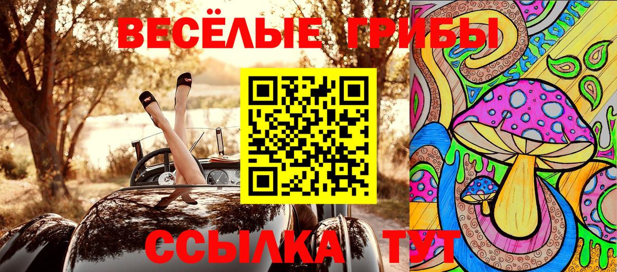 Карачаевск  наркота  Псилоцибиновые грибы прущие грибы  Вход с VPN  Псилоцибиновые грибы мицелий 